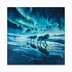 Aurora Borealis 17 Canvas Print