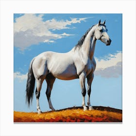 White Horse Canvas Print