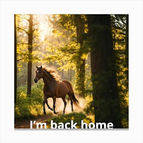 I'M Back Home Canvas Print