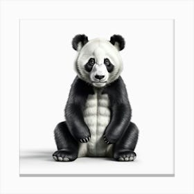 Panda Bear 6 Canvas Print