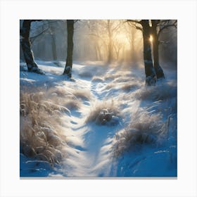 Shadows of Winter Sunlight on Woodland Snow Canvas Print