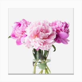 Peonies In A Vase Canvas Print