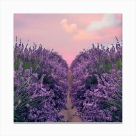 Lavender Field At Sunset Canvas Print