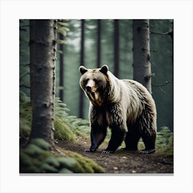Grizzly Bear In The Forest 7 Canvas Print