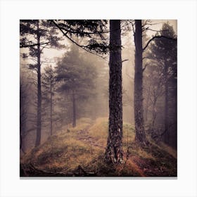 Foggy Forest Canvas Print