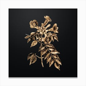 Gold Botanical Trumpet Vine on Wrought Iron Black n.0007 Canvas Print