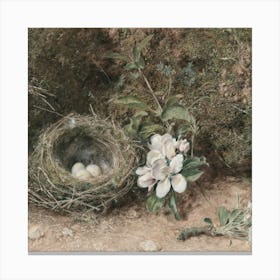 Nest 7 Canvas Print