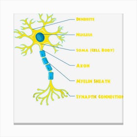 Neuroscientist Nucleus Neurobiologist Neuroscience Biology Canvas Print