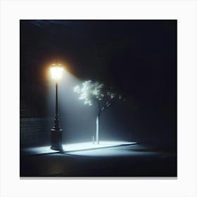 Street Lamp At Night Canvas Print