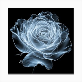 White Rose On Black Canvas Print