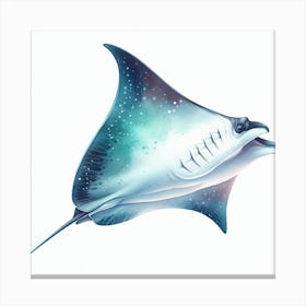 Manta ray Canvas Print