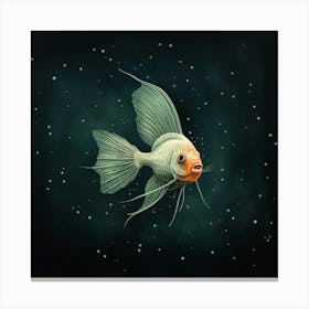 Betta Fish Canvas Print