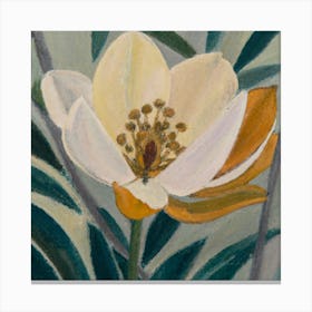 White Flower Canvas Print