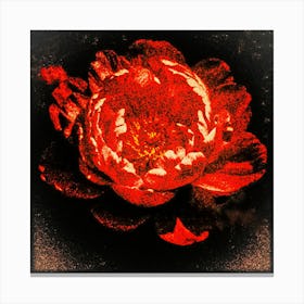 Red Peony Canvas Print