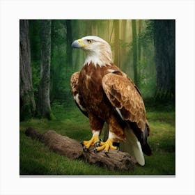 Eagle In The Forest 1 Canvas Print