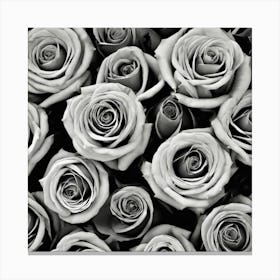 Black And White Roses 24 Canvas Print