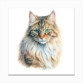 Highlander Cat Portrait Canvas Print