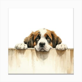 St Bernard Dog 1 Canvas Print