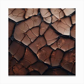 Cracked Surface 2 Canvas Print