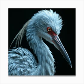 Heron Canvas Print