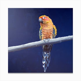 Flaming Parrot SB Canvas Print