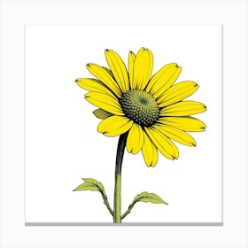 Yellow Daisy 4 Canvas Print