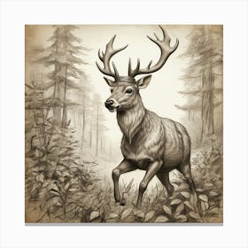 Deer In The Woods 51 Canvas Print