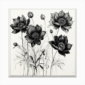 Artwork of 3 black flowers Canvas Print