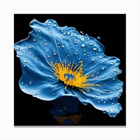 Blue Poppy Flower Canvas Print