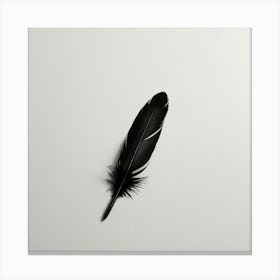 Black Feather Canvas Print