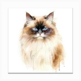 Chocolate Point Himalayan Cat Portrait 1 Canvas Print