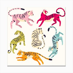 Colorful Tigers On White Square Canvas Print