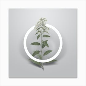 Vintage Green Cestrum Minimalist Flower Geometric Circle on Soft Gray n.0402 Canvas Print