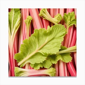 Rhubarb 88 Canvas Print