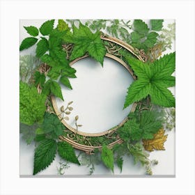 Fern Wreath 2 Canvas Print