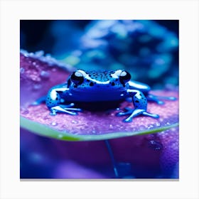 Blue Frog Canvas Print