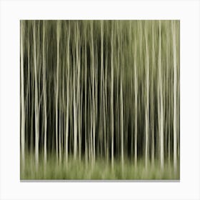 Aspen Forest 1 Canvas Print
