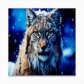 Bobcat in nature winter season Canvas Print