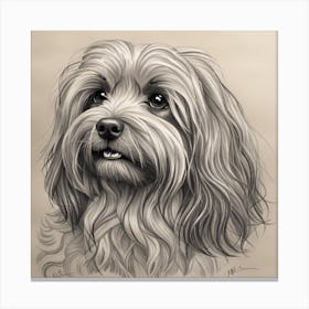 Shih Tzu 1 Canvas Print