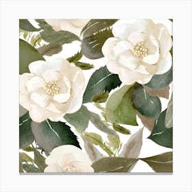 Botanical Wall Art Flowers White Camelias White Background #2 Canvas Print