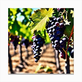 Grapes In The Vineyard 5 Canvas Print