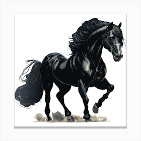 Black Horse Canvas Print