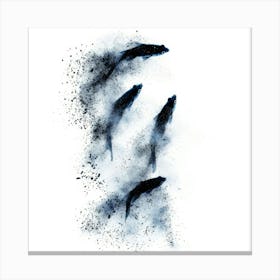 Three Fish In The Air Canvas Print