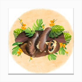 Sloth/Paresseux Canvas Print