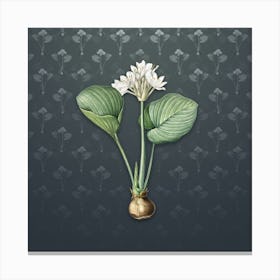 Vintage Cardwell Lily Botanical on Slate Gray Pattern n.0797 Canvas Print