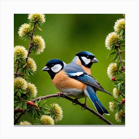 Two Birds Perched On A Branch 2 Canvas Print