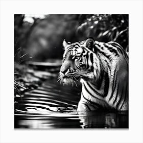 Tiger In Water Canvas Print