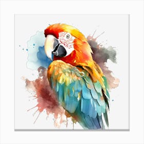 Colorful Parrot 22 Toile