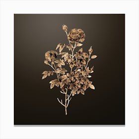 Gold Botanical Burgundy Cabbage Rose on Chocolate Brown Canvas Print