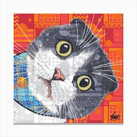 Kazuo Scottish Fold Cat Square Canvas Print